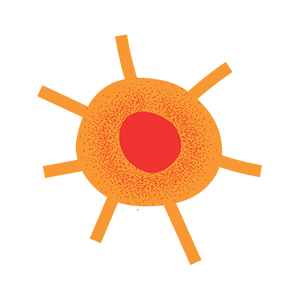 Scène Soleil